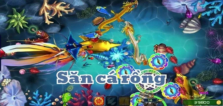 Cách Chơi Bắn Cá Rồng Tại HB88 Dễ Thắng Nhất 2025