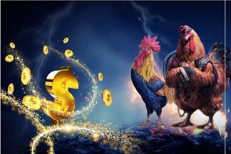Đá Gà HB88 Đỉnh Cao Giải Trí Cá Cược Trực Tuyến Tại Việt Nam