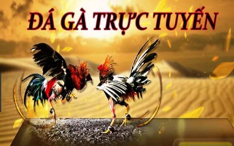 Đá Gà HB88 Đỉnh Cao Giải Trí Cá Cược Trực Tuyến Tại Việt Nam