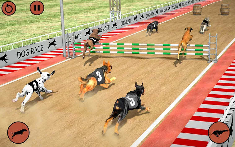 Hướng Dẫn Chơi Game Nhanh Đua Chó HB88 Tăng Cơ Hội Thắng 2 Hướng Dẫn Chơi Game Nhanh Đua Chó HB88 Tăng Cơ Hội Thắng